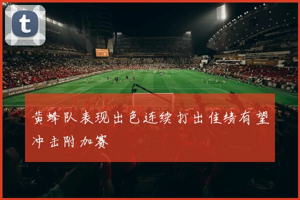 黄蜂队表现出色连续打出佳绩有望冲击附加赛